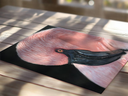 Flamingo Serenity Art Print