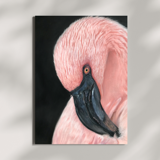 Flamingo Serenity (Open Edition) Fine Art Print