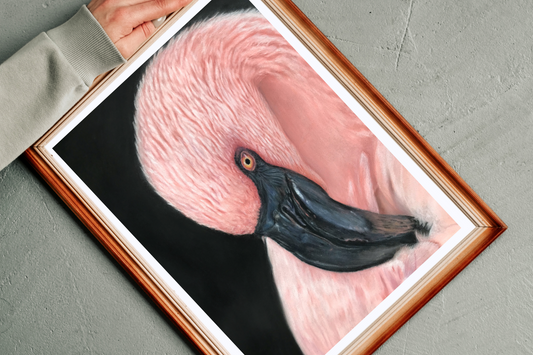 Flamingo Serenity – (Limited Edition) 11x14" Fine Art Giclée Print
