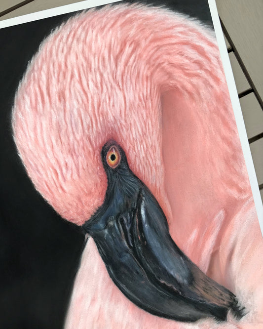 Flamingo Serenity - Pink Flamingo Pastel Portrait (Open Edition) Fine Art Giclée Print