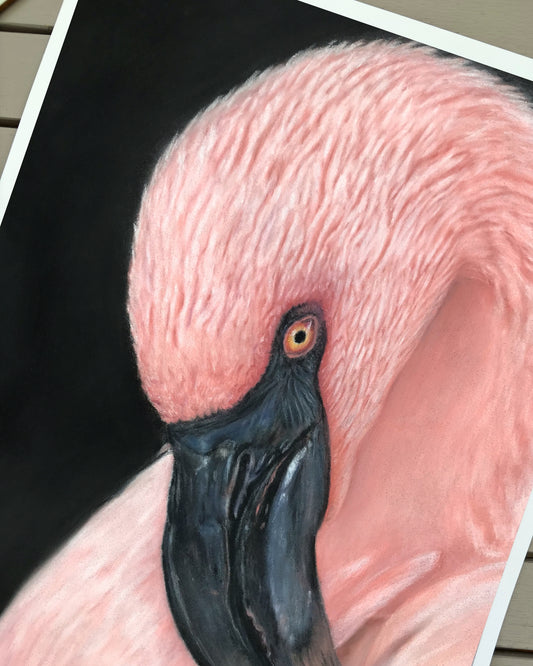 Flamingo Serenity - Pink Flamingo Pastel Portrait (Open Edition) Fine Art Giclée Print