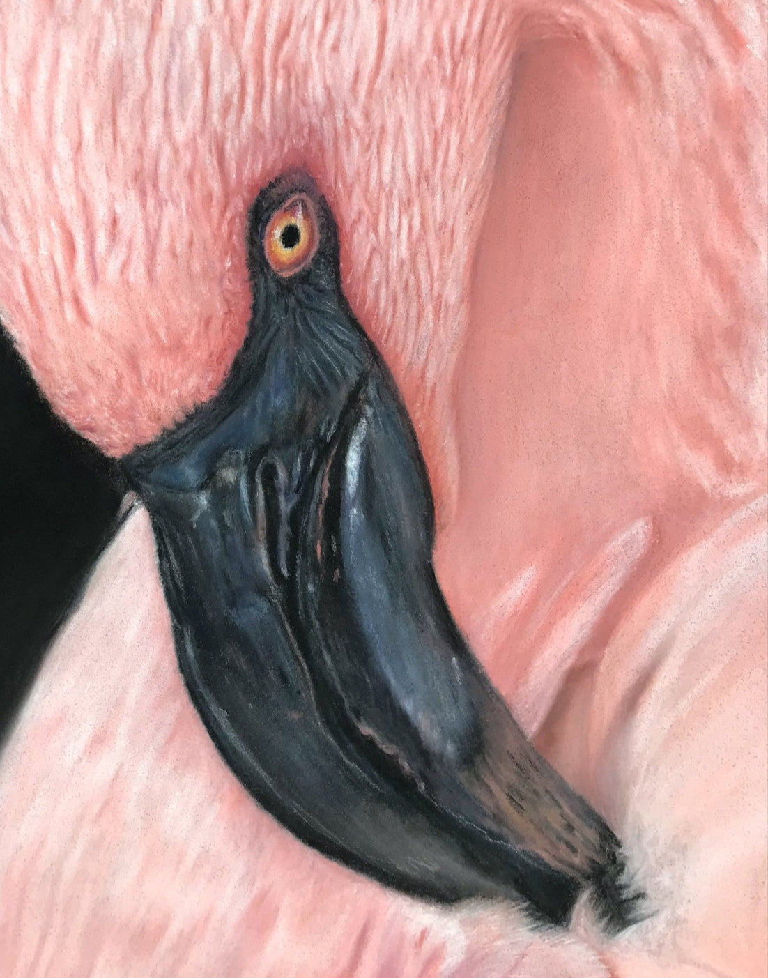 Flamingo Serenity – (Limited Edition) 11x14" Fine Art Giclée Print