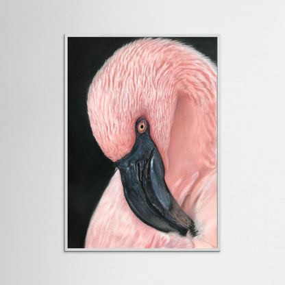Flamingo Serenity Framed Fine Art Print