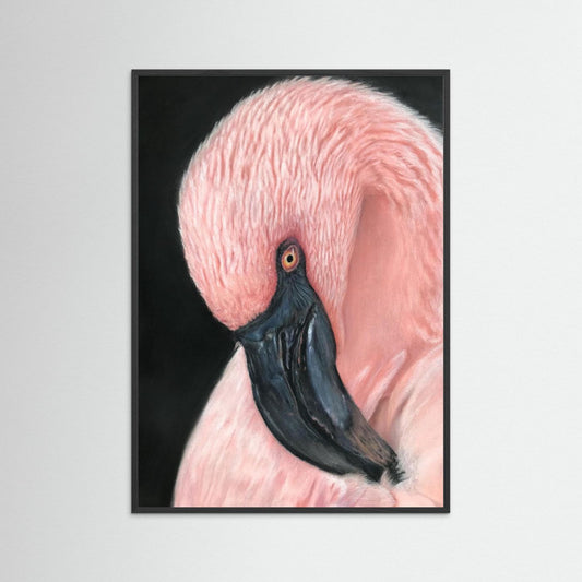 Flamingo Serenity Framed Fine Art Print