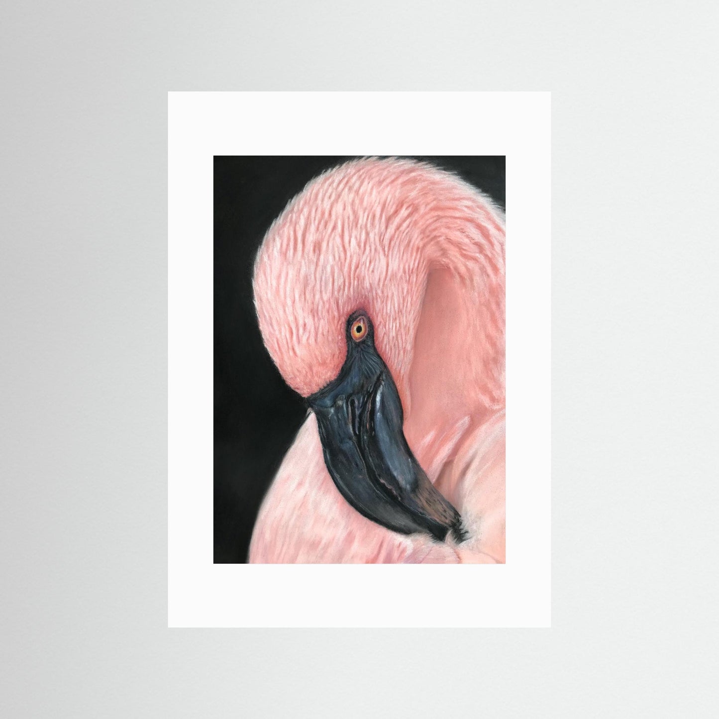 "Flamingo Serenity" Fine Art Prints
