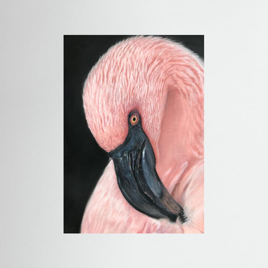 "Flamingo Serenity" Fine Art Prints